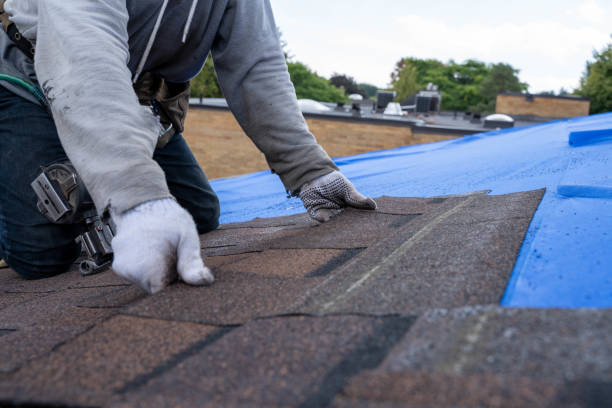 Best Sealant for Roof  in The Dalles, OR