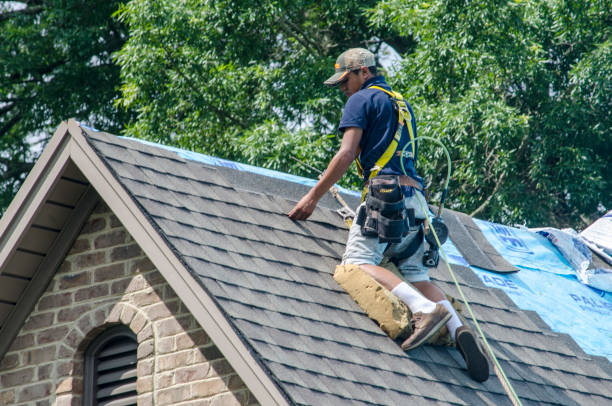Best Roof Gutter Cleaning  in The Dalles, OR